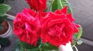 20140524_072451