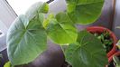 20140526_084524