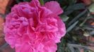 20140603_144502
