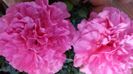 20140603_144622