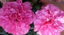 20140603_144628