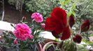 20140603_144710
