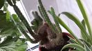 20140612_080623