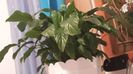 20150526_223222