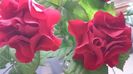 20150530_171526