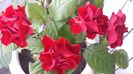 20150530_171634