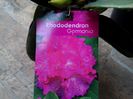IMG_20151024_095515