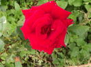 DSCF4357