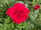 DSCF4372
