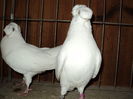 DSC00771