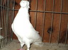 DSC00801