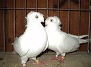 DSC00803