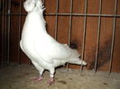 DSC00808