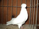 DSC00811