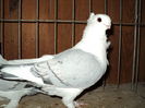 DSC00837