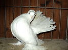DSC00853
