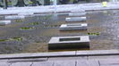 P1000290