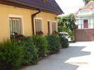P1000860