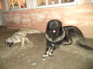 1an si 10 LUNI