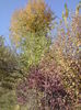 DSC01116