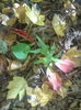 DSC01088