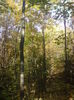 DSC01101