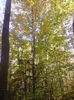 DSC01103