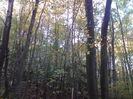 DSC01107