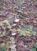 DSC01093
