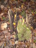 DSC01061