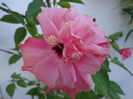 DSC01110