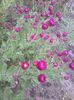 WIN_20151025_112335