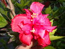 DSC01111