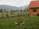 24 oct 040