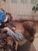 Picture 095