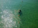 BAIE IN MARE