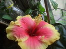 SAM_3394