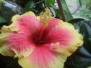 SAM_3395