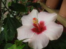 SAM_3404