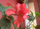 SAM_3420