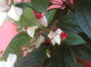 SAM_3469