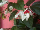 SAM_3470