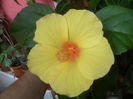 SAM_3472