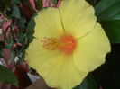SAM_3473