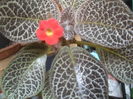 SAM_3477