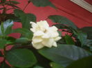 SAM_3478
