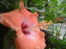 SAM_3512