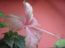 SAM_3547