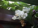 SAM_3558