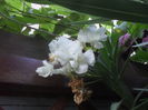SAM_3559